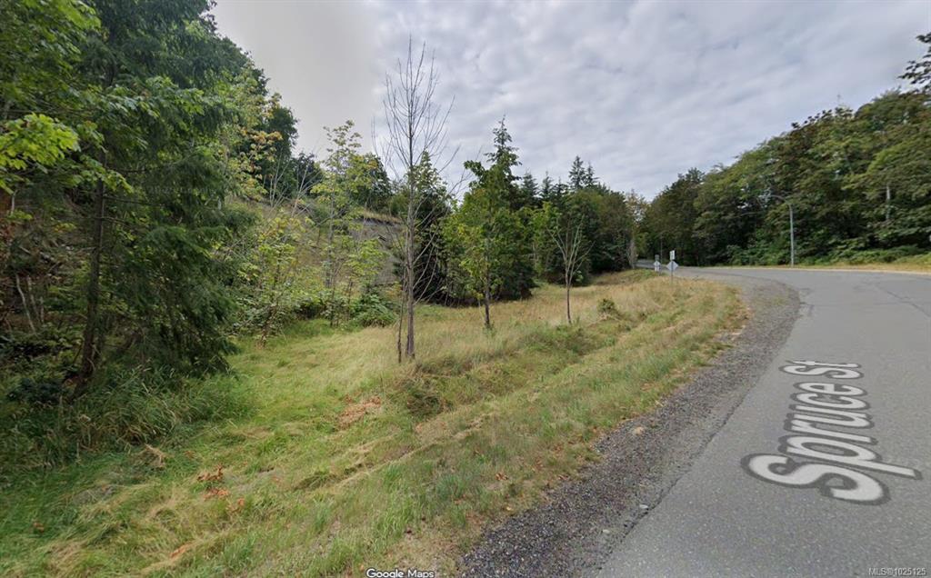 Fourth View of 15 Spruce St, Campbell River, BC, V9W 4E8