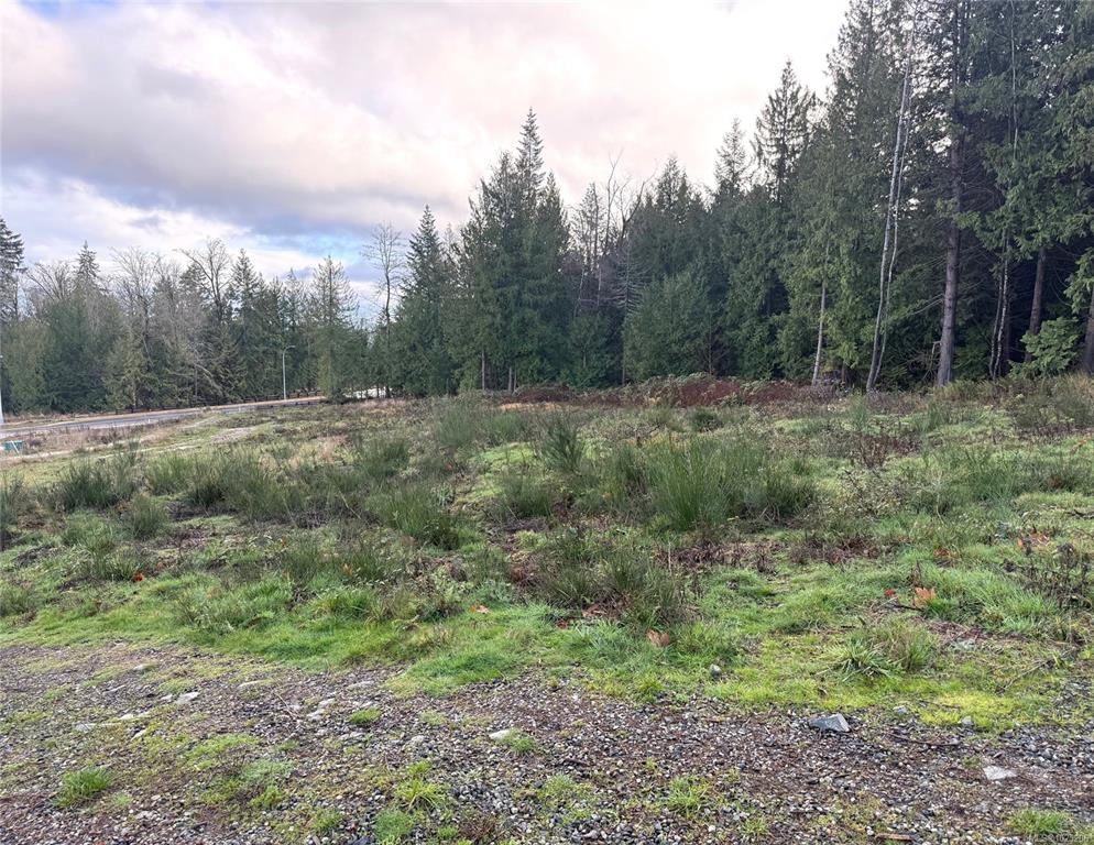 Fifth View of 13 Lavandusky Pl, Ladysmith, BC, V9G 0B8