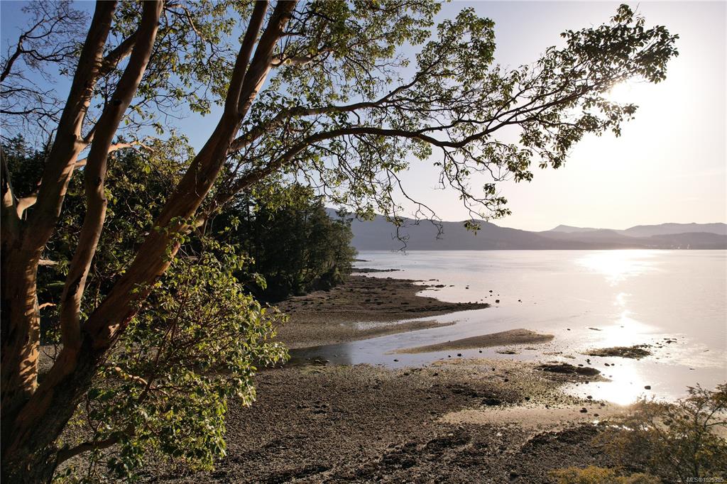 Fifth View of 116 Acland Rd, Booth Bay Shores, Salt Spring, BC, V8K 2N6