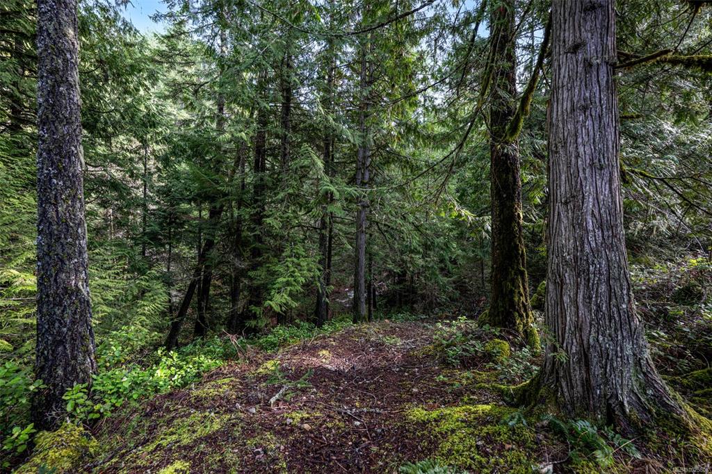 Fourth View of Lot 3 Whittaker Rd, Malahat, BC, V0R 2L0