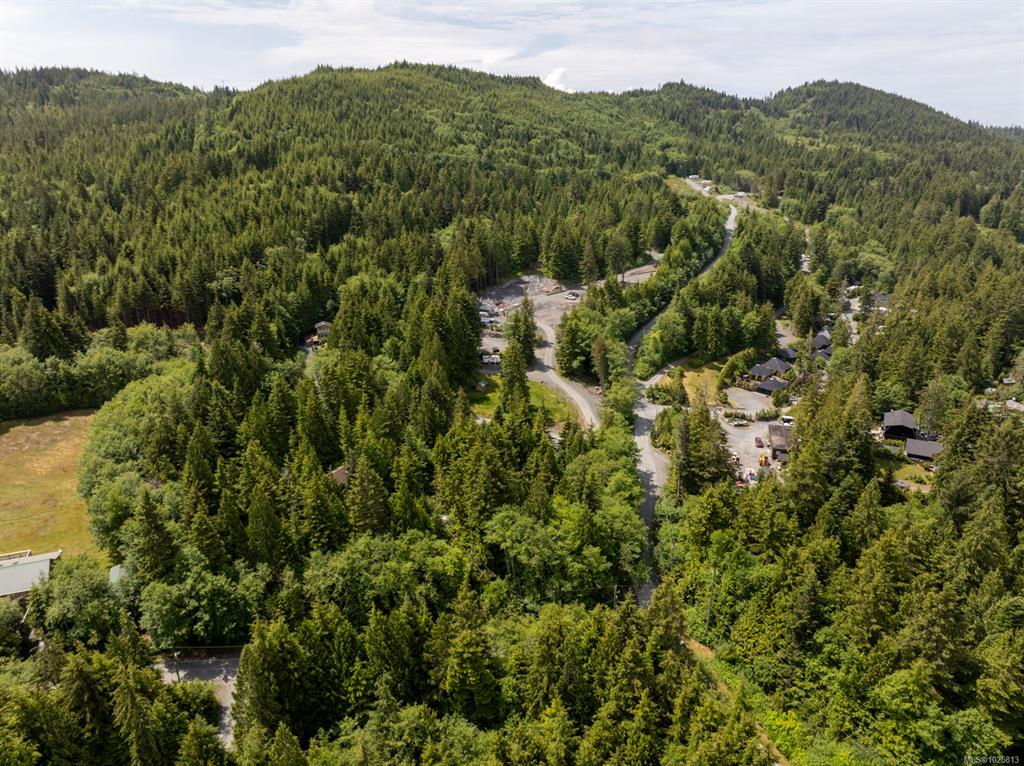 Fifth View of 17205 Osprey Pl, Port Renfrew, BC, V0S 1K0