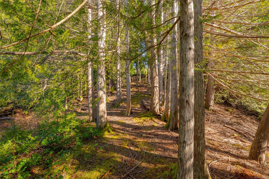 Fourth View of 2740 Lakeview Rd, Qualicum Beach, BC, V9K 2L7