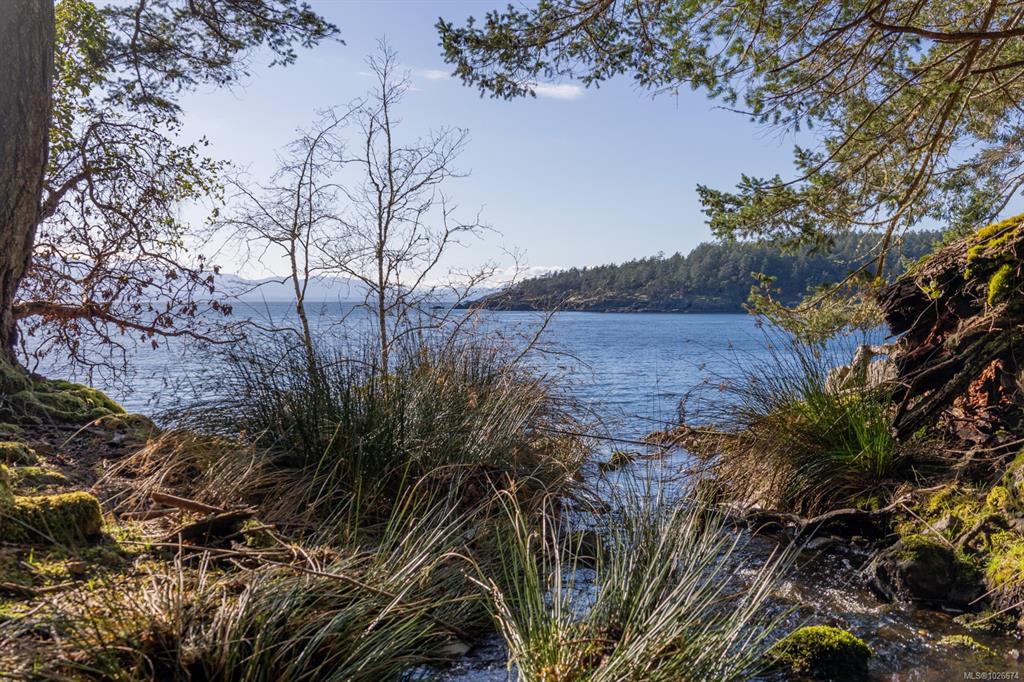 Fourth View of 333 Main Rd, Lasqueti Island, BC, V0R 2J0