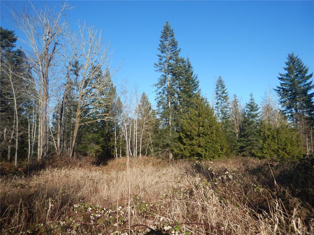 Lot 2 Artela Dr, 1026703, BC,
