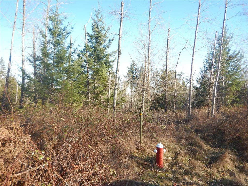Third View of Lot 2 Artela Dr, Fanny Bay, BC, V0R 1W0