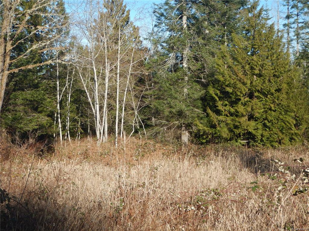 Fourth View of Lot 2 Artela Dr, Fanny Bay, BC, V0R 1W0