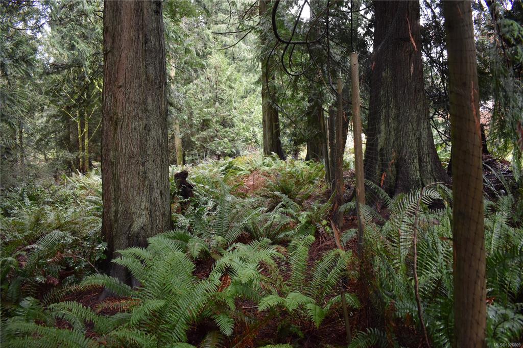 Third View of 201 Grantville St, Salt Spring, BC, V8K 1P1