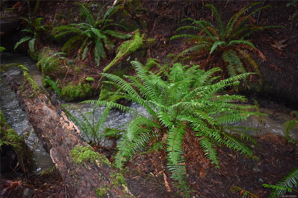 Fifth View of 201 Grantville St, Salt Spring, BC, V8K 1P1