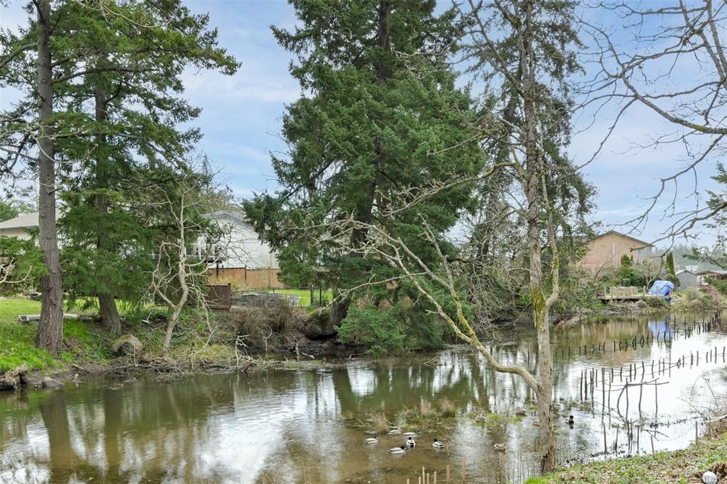 Fourth View of 156 St Giles St, View Royal, BC, V8Z 6Y6