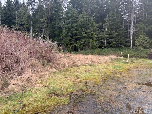 Fourth View of 6260 Hunt St, Port Hardy, BC, V0N 2P0