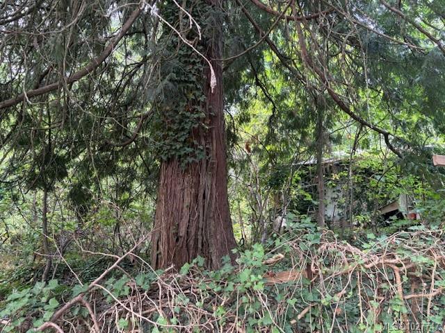Fourth View of 13050 Thomas Rd, Ladysmith, BC, V9G 1L9