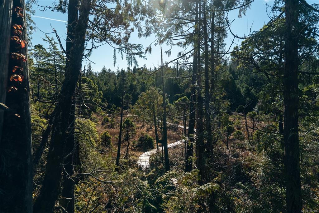 Fourth View of Lot 4 Hawkes Rd, Ucluelet, BC, V0R 3A0