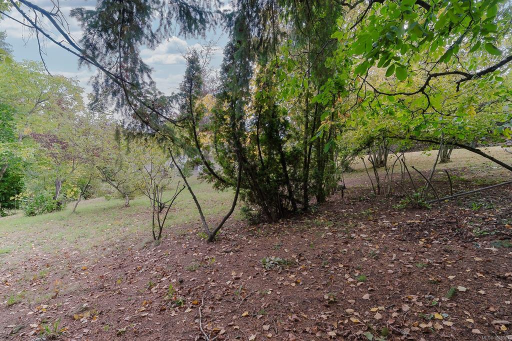 Fifth View of 436 Wharton St, Nanaimo, BC, V9R 1W4