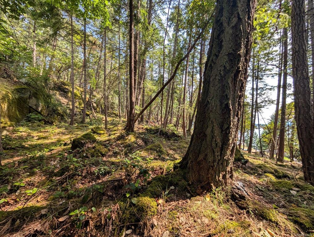 Lot 108 Herring Hts, 1028071, BC,