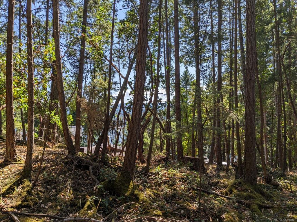 Third View of Lot 108 Herring Hts, Mudge Island, BC, V9X 1P7