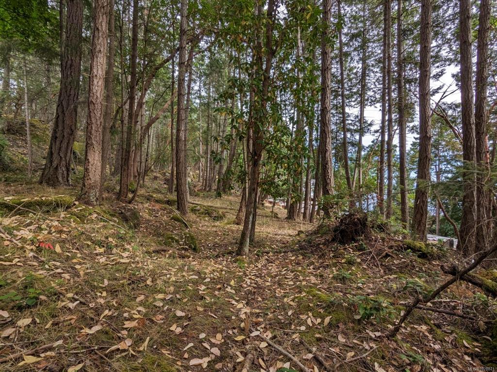 Fifth View of Lot 108 Herring Hts, Mudge Island, BC, V9X 1P7