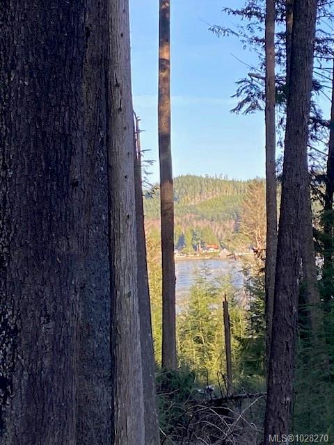 Fifth View of 1 1st St, Sointula, BC, V0N 3E0