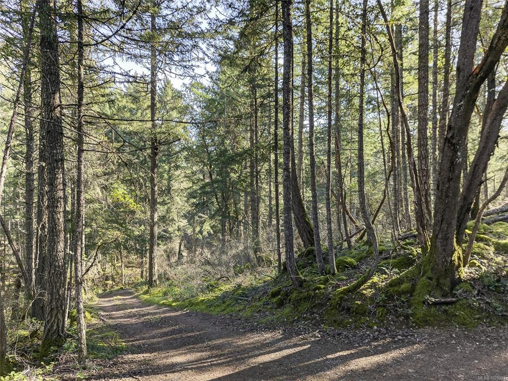 Fourth View of 160 Sky Valley Rd, Salt Spring, BC, V8K 2C7