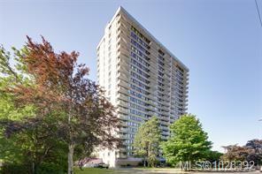 Fifth View of 647 Michigan St, Victoria, BC, V8V 1S9