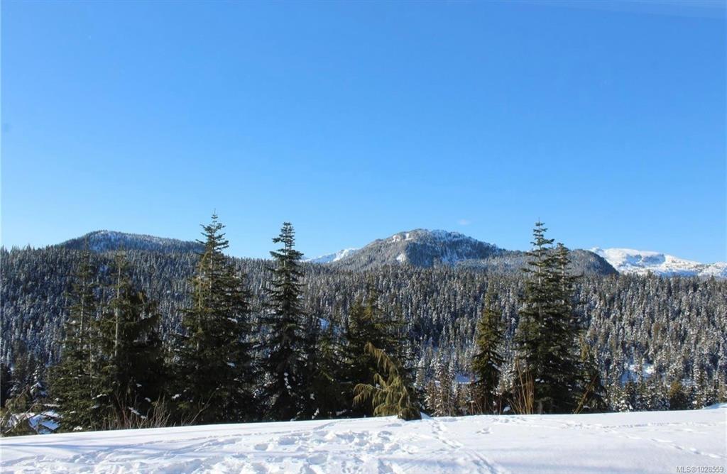 1105 Henry Rd, 1028559, BC,