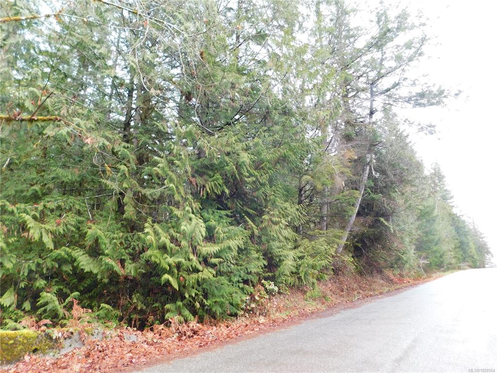 Third View of 7943 Tyler Rd, Port Alberni, BC, V9Y 9E4