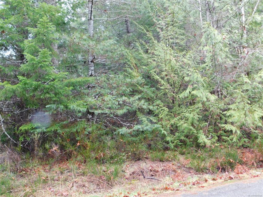 Fourth View of 7943 Tyler Rd, Port Alberni, BC, V9Y 9E4