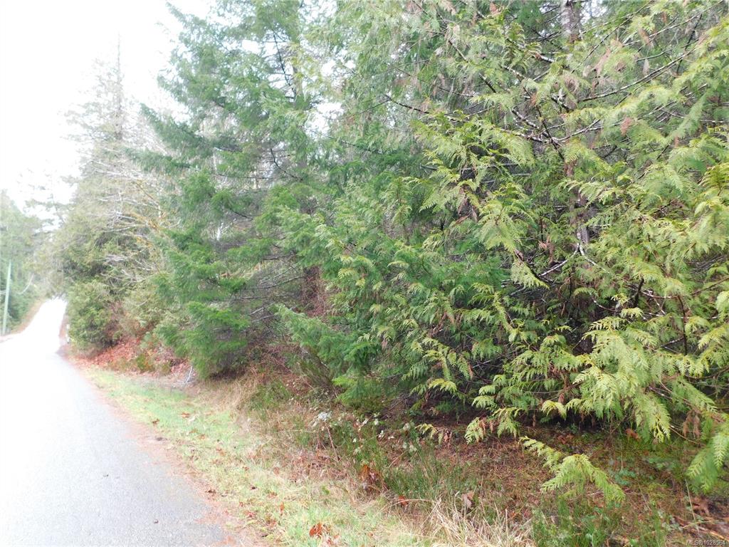 Fifth View of 7943 Tyler Rd, Port Alberni, BC, V9Y 9E4