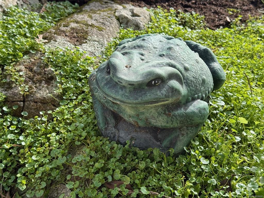 Fourth View of 1018 Scottswood Lane, Saanich, BC, V8Y 2Y2