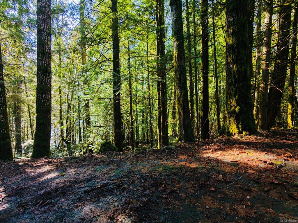 Third View of N A Youbou Rd, Lake Cowichan, BC, V0R 2G0