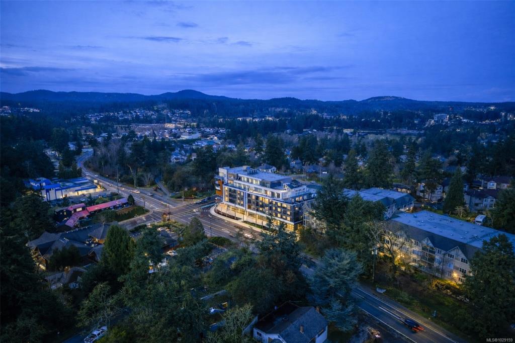 MLS® listing #30824065 for sale located at 258 Helmcken Rd