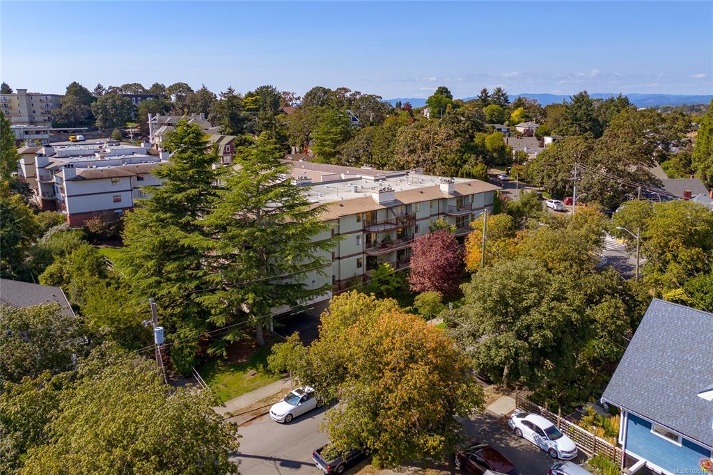 Third View of 1655 Begbie St, Chestnut Grove, Victoria, BC, V8R 1L4