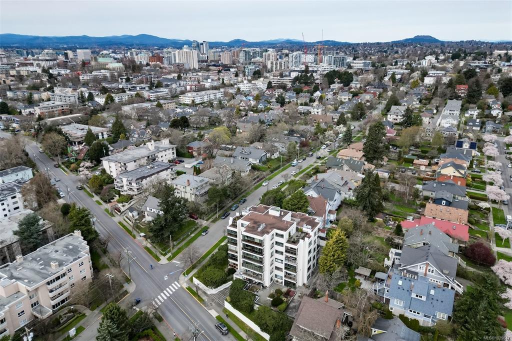 Third View of 1204 Fairfield Rd, Linfield House, Victoria, BC, V8V 3B2