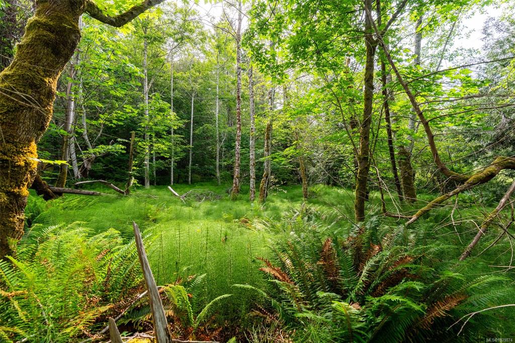 Lot 3 384 Seaspray Dr, 1029874, BC,