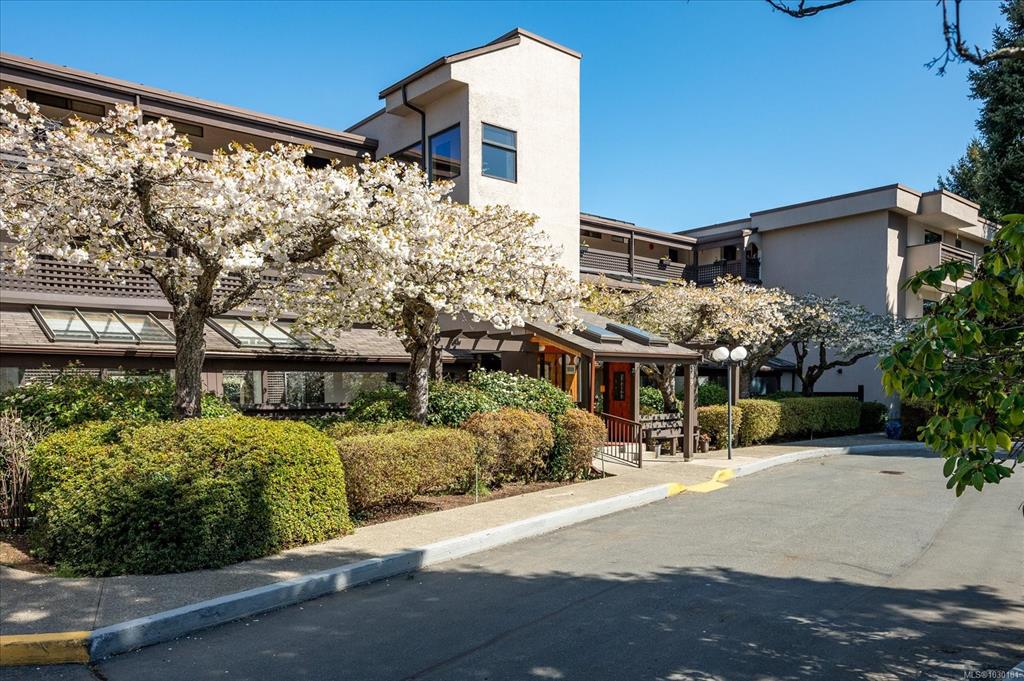 309 Morison Ave, 1030181, BC,