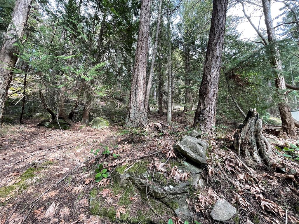 Third View of Lot 130 Ling Cod Lane, Mudge Island, BC, V0V 0V0