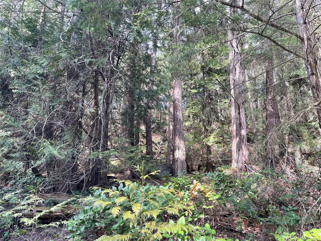 Fifth View of Lot 130 Ling Cod Lane, Mudge Island, BC, V0V 0V0