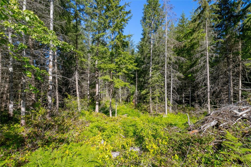 Fourth View of 7 Sunrise Rd, Duncan, BC, V9L 6G5