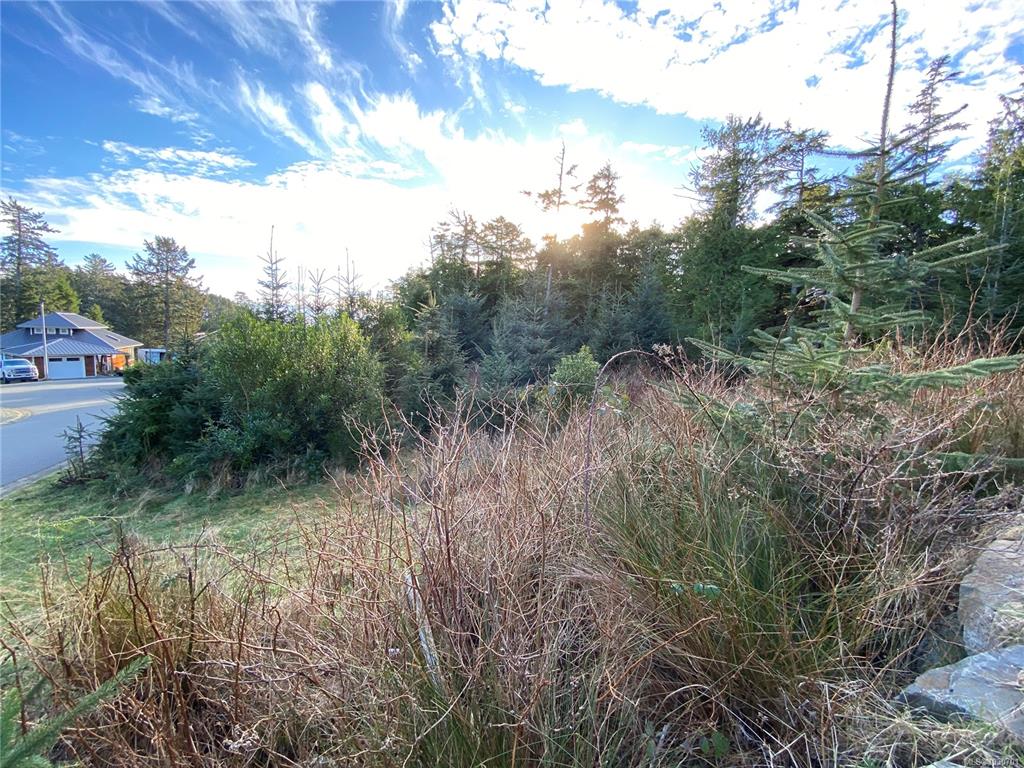 Second View of 342 Pass Of Melfort Pl, Wild Pacific Cove, Ucluelet, BC, V0R 3A0