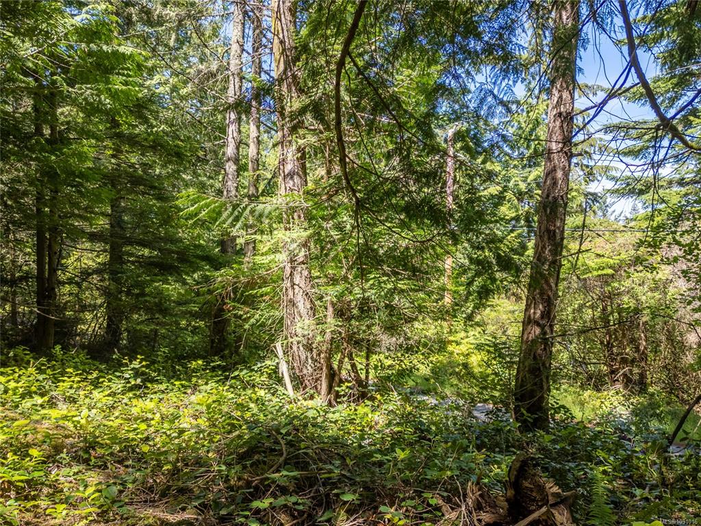 Fourth View of 638 Tumbo Channel Rd, Saturna Island, BC, V0N 2Y0