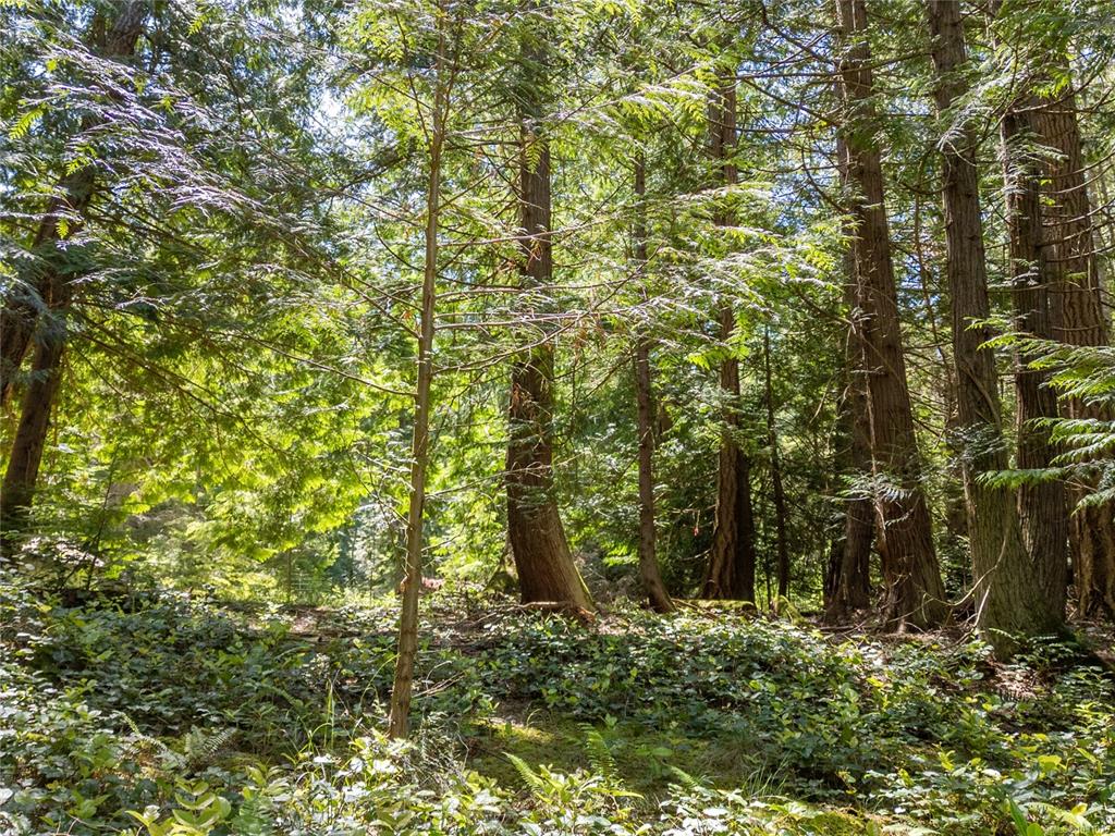 Fifth View of 638 Tumbo Channel Rd, Saturna Island, BC, V0N 2Y0