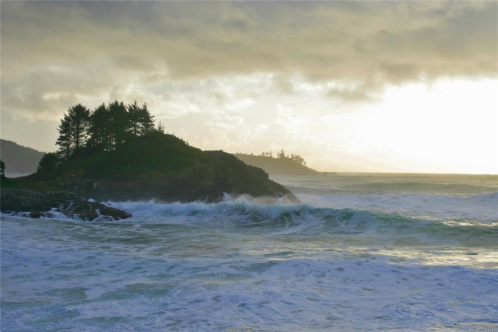 Second View of 871 Moser Pl, ROSIE BAY, Tofino, BC, V0R 2Z0