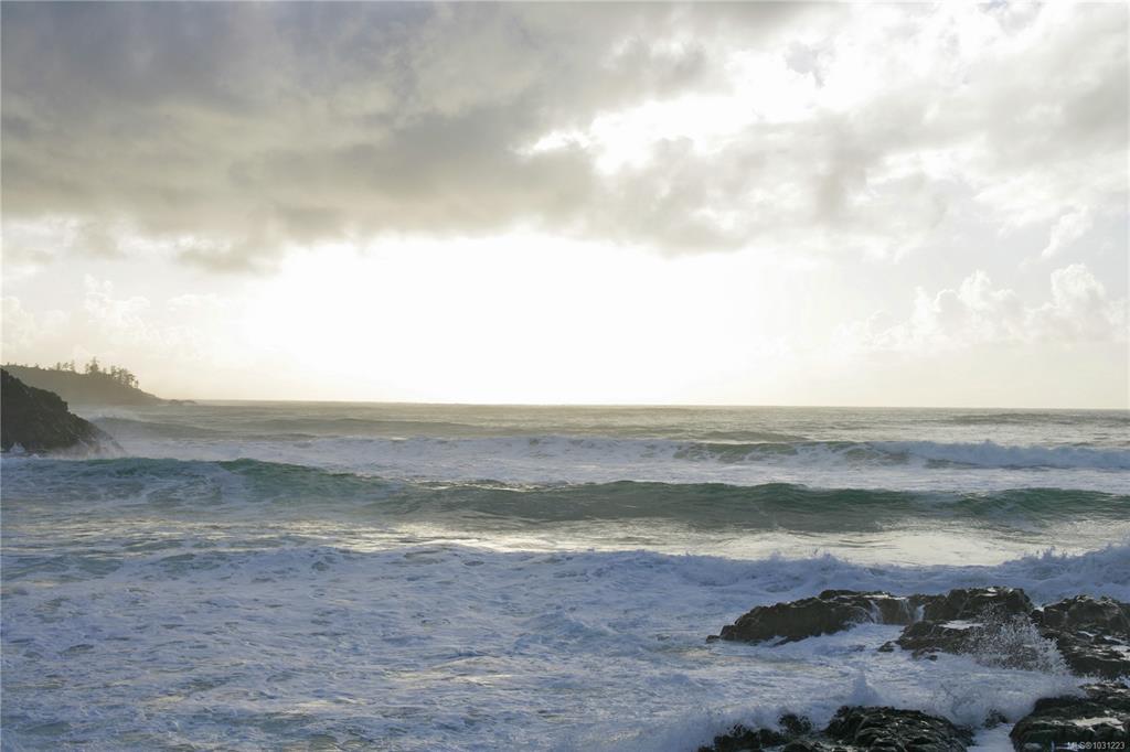 Fourth View of 871 Moser Pl, ROSIE BAY, Tofino, BC, V0R 2Z0