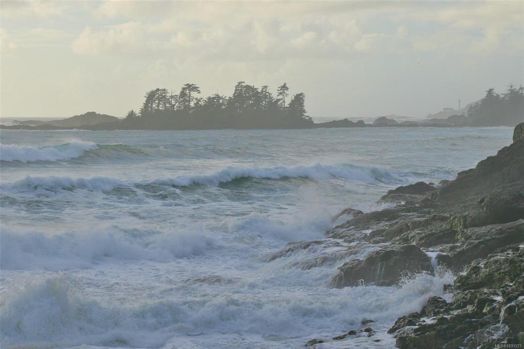 Fifth View of 871 Moser Pl, ROSIE BAY, Tofino, BC, V0R 2Z0