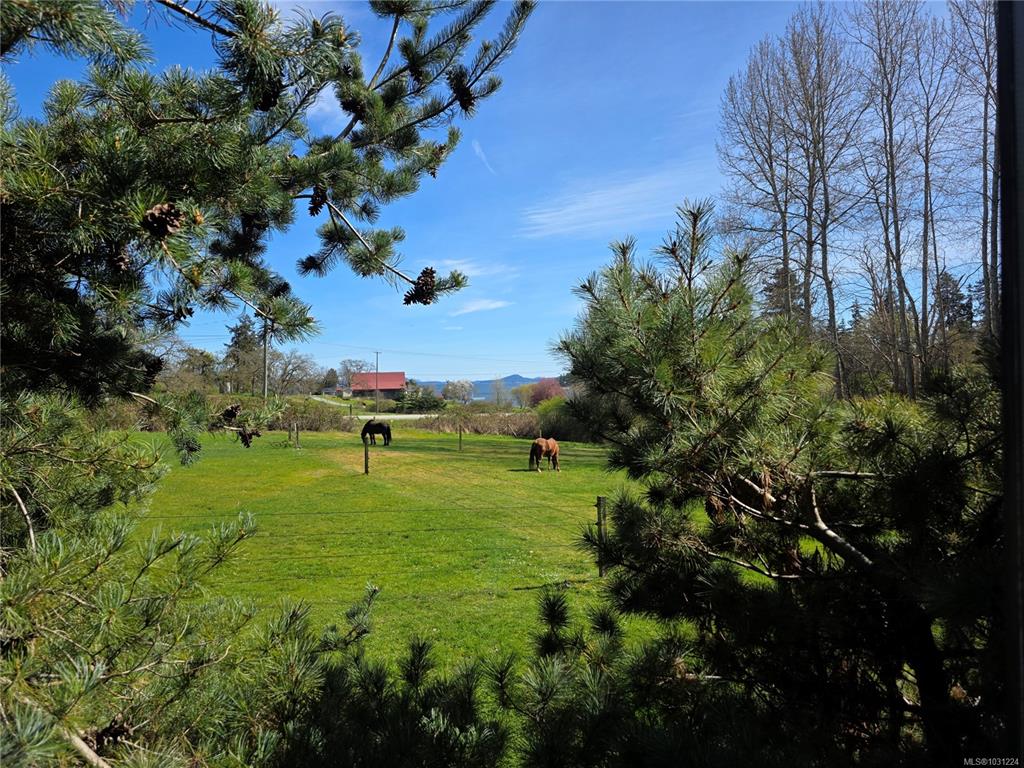 Fourth View of 2035 Pace Rd, Nanaimo, BC, V9X 1N8