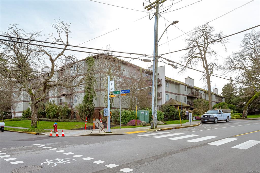 Fourth View of 1655 Begbie St, Victoria, BC, V8R 1L4