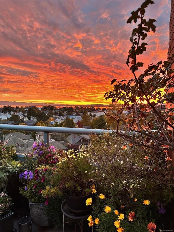 Fifth View of 630 Montreal St, Victoria, BC, V8V 4Y2