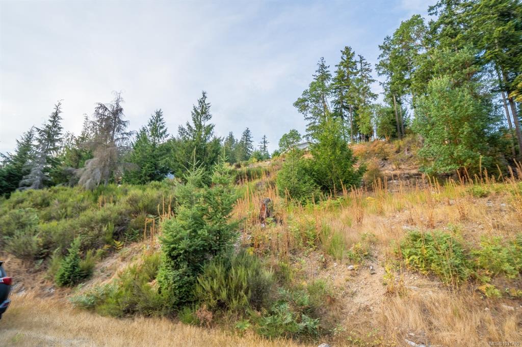 Third View of Lot 13 Teal Crt, Lake Cowichan, BC, V0R 2G0
