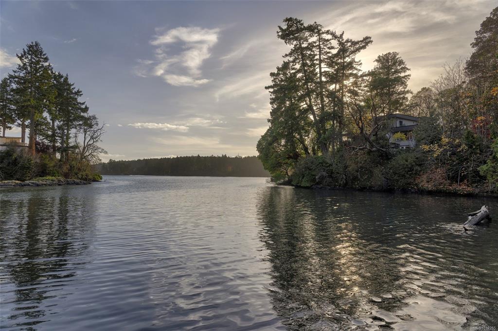 41 Tovey Cres, 1032255, BC,