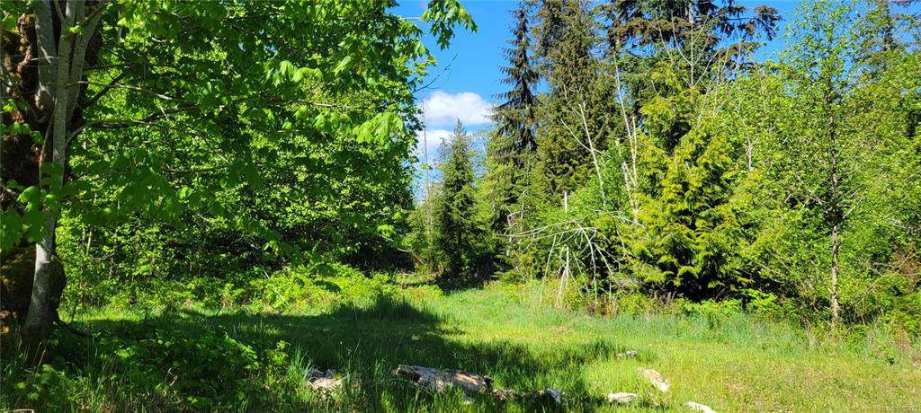 Fifth View of 4275 Island Hwy S, Campbell River, BC, V9H 1B7