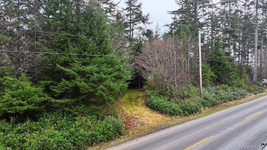 Fourth View of 12531 Tow Hill Rd, Masset, BC, V0T 1M0